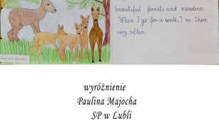 Praca konkursowa My Town - Paulina Majocha