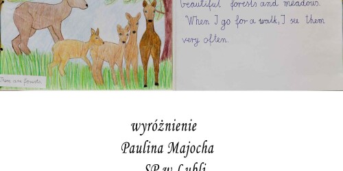 Praca konkursowa My Town - Paulina Majocha